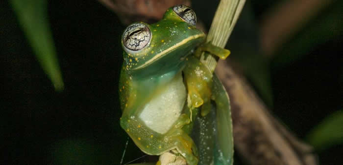 ������ĳЩ���ܶ�������������������ֿ���