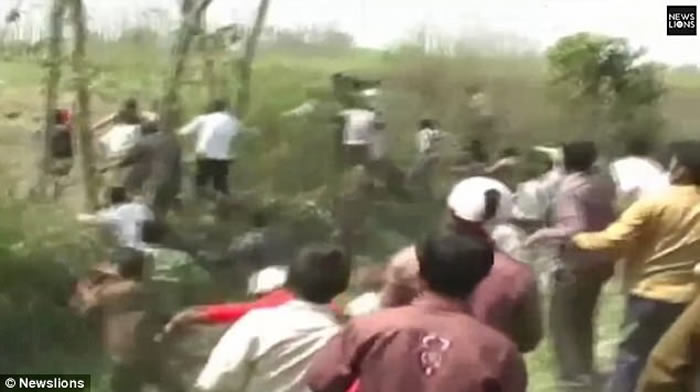 印度北方邦野生老虎1年吃22人 留下无头尸体