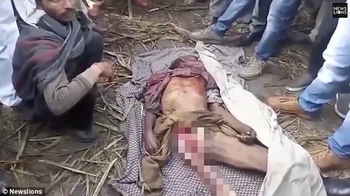 印度北方邦野生老虎1年吃22人 留下无头尸体