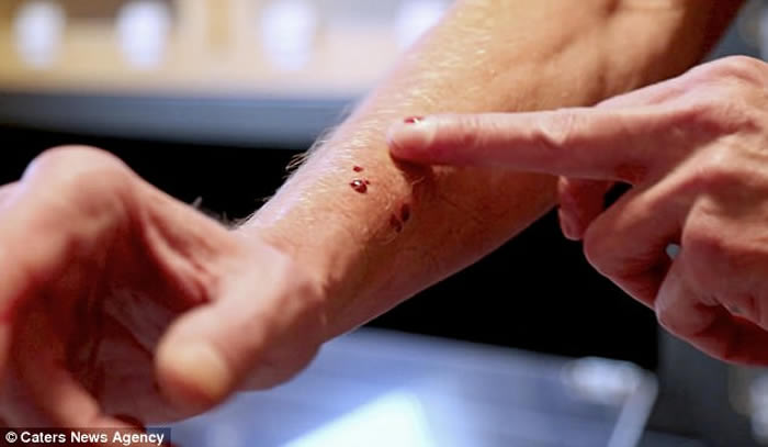 ��������ѧ��Tim FriedeΪ֤�����߶����� ���������������Ķ��ߡ������͡�ҧ�Լ�