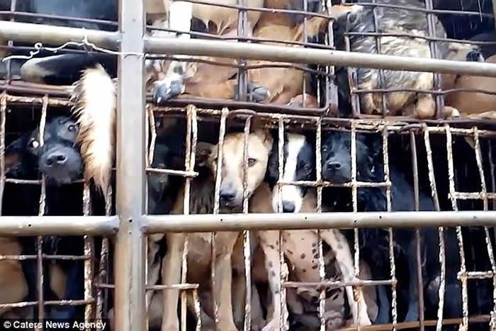 Խ���������͸����� ���š���ǰ��һ�����ʸ��ѡ�