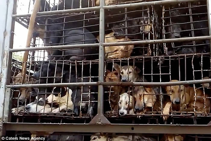 Խ���������͸����� ���š���ǰ��һ�����ʸ��ѡ�