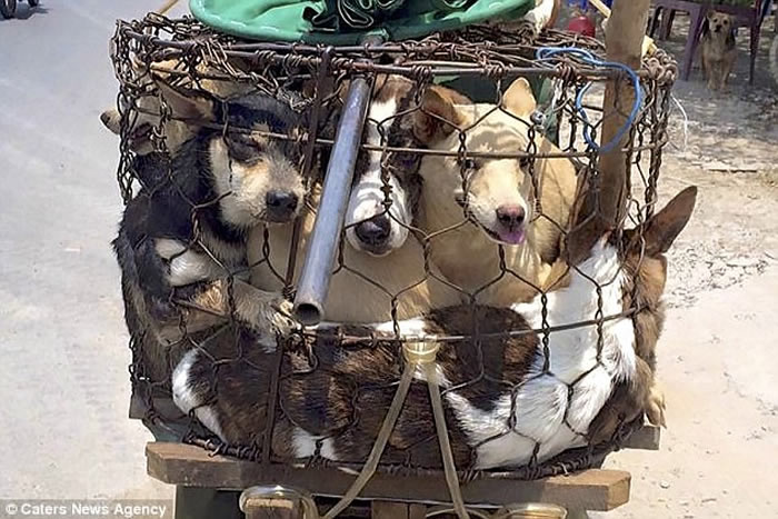 Խ���������͸����� ���š���ǰ��һ�����ʸ��ѡ�