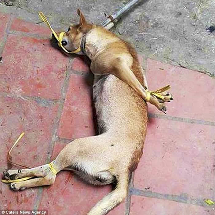 Խ���������͸����� ���š���ǰ��һ�����ʸ��ѡ�