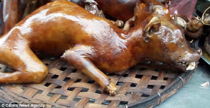 Խ���������͸����� ���š���ǰ��һ�����ʸ��ѡ�