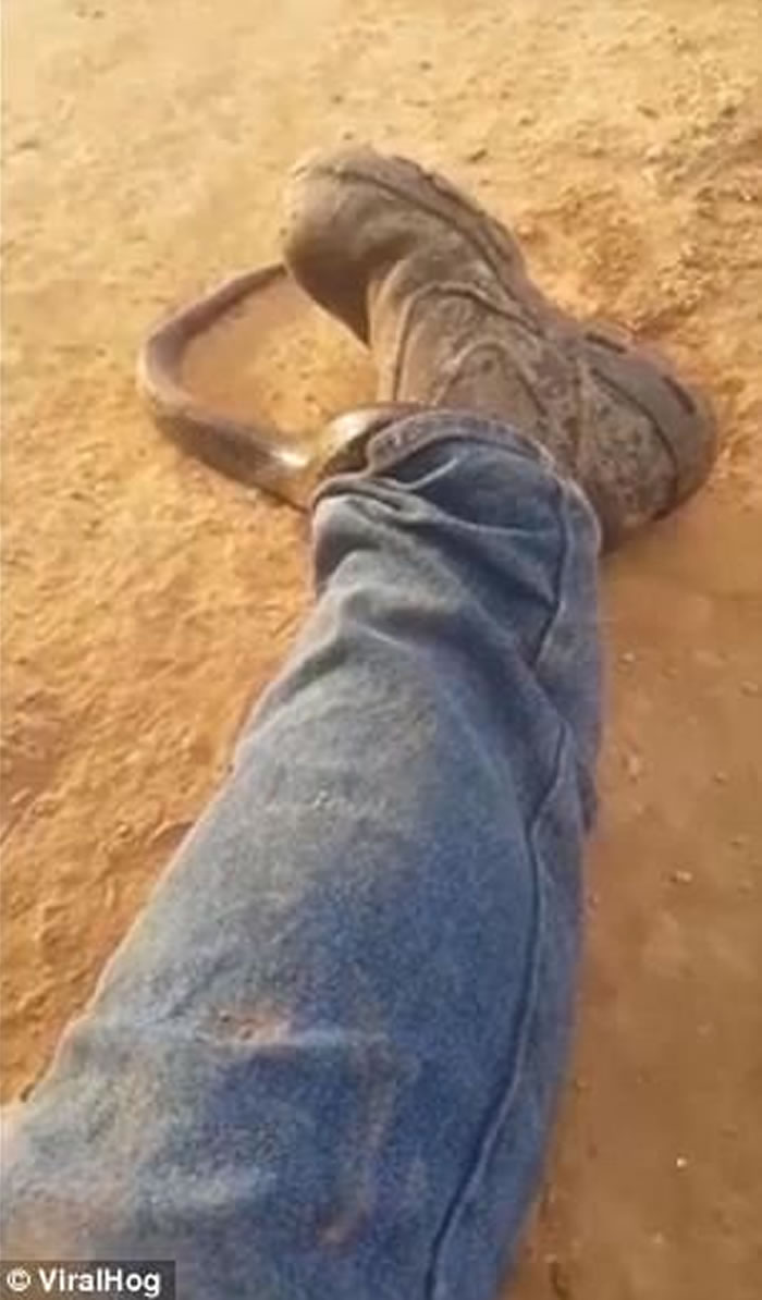 ����ͻ���ꡱ����Ͳ �������ӹ����������