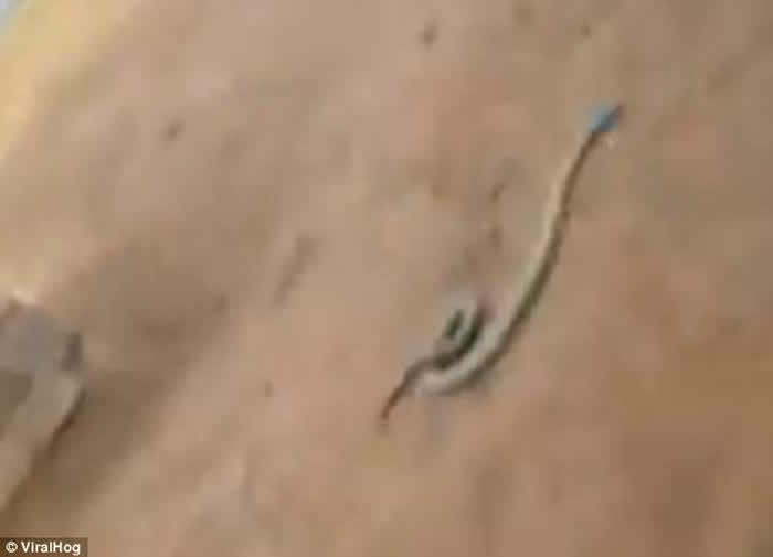 ����ͻ���ꡱ����Ͳ �������ӹ����������