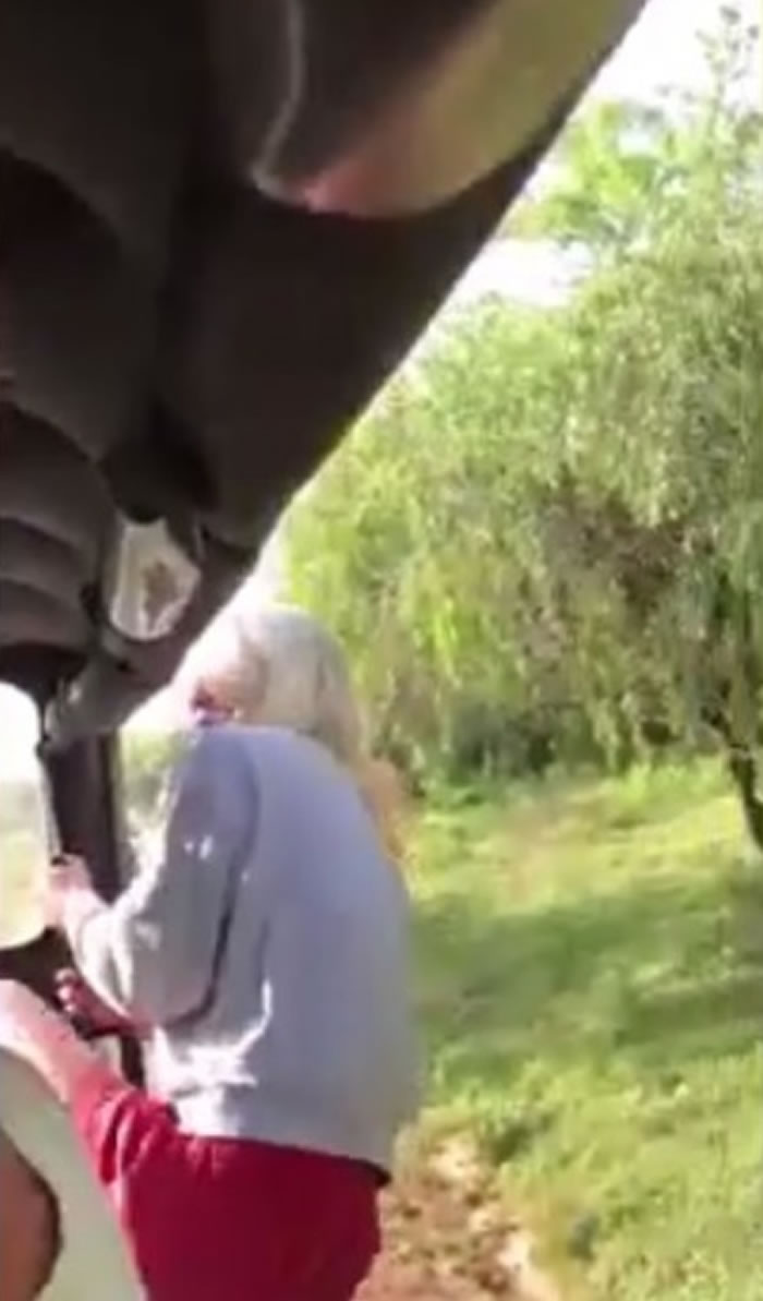 期间一名女游客吓得爬出车外。