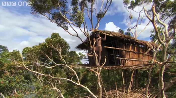 BBC纪录片《人类星球》又爆出造假:印尼原住民科罗威人的“树屋生活”为临时搭建