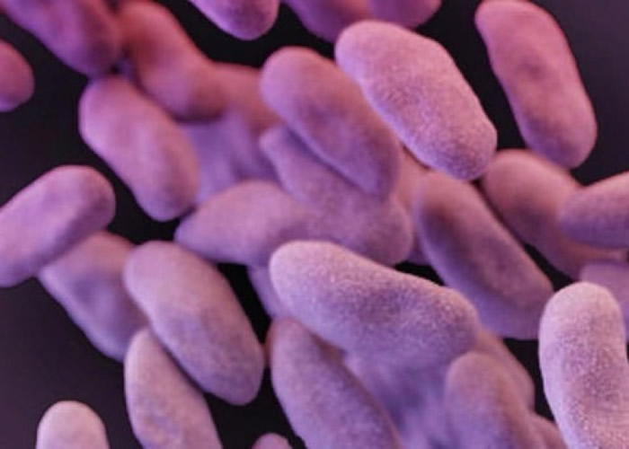 疾控中心现阶段仍未得出结论如何抑制噩梦细菌扩散。(资料图片)