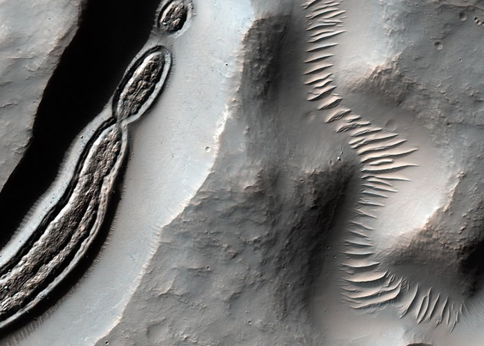 NASA�����»��Ǳ��������Ƭ ����΢����ϸ��ͼ��