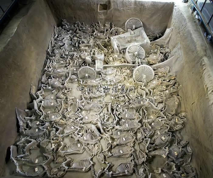 河南新郑郑国三号车马坑全景