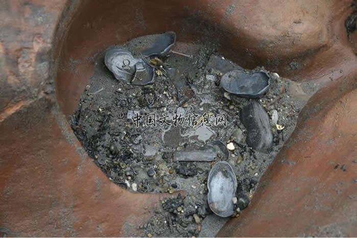 江西鹰潭龙虎山大上清宫遗址发掘区俯瞰