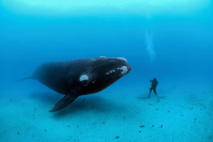 һͷ¶¿ȺӽһǱˮԱ PHOTOGRAPH BY BRIAN J. SKERRY, NATIONAL GEOGRAPHIC CREA