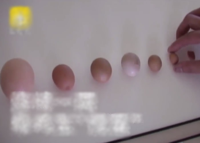 ĴʡɽмнһֻĸԽԽС ŮˣôСĵͰɱ