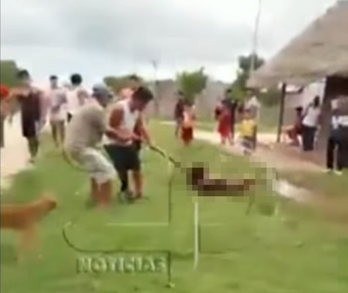 加拿大男子被怀疑谋杀女巫医 遭秘鲁的亚马逊丛林村民私刑虐死