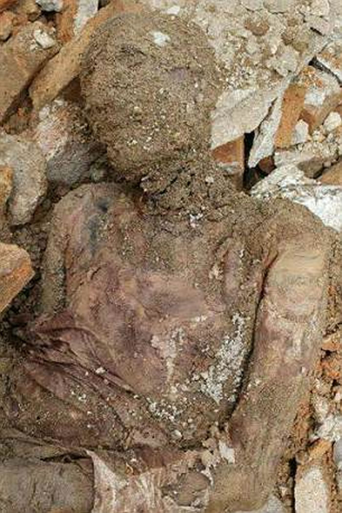 伊朗发现倒数第二任国王礼萨汗·巴列维一世的木乃伊干尸