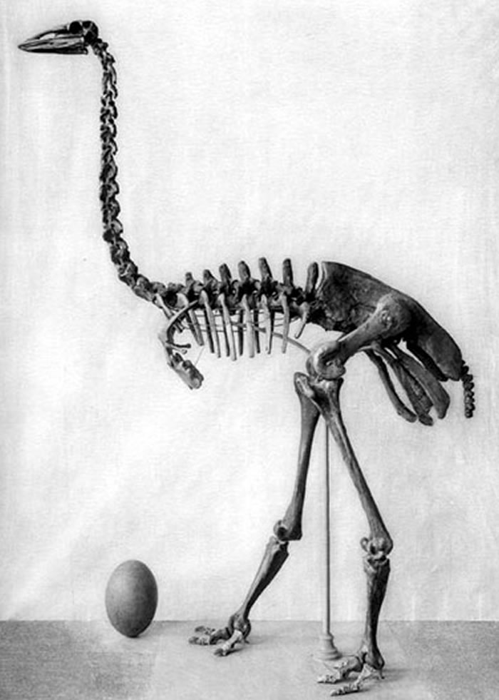 ����ˮţ�ǲ���ݲֿⷢ��������ľ޴�¡��