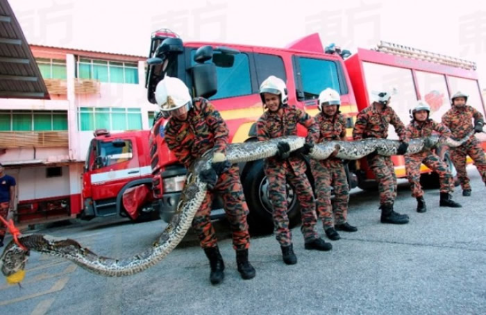 ��������7�׳������ߺ����·ʱ�⳵��ײ��