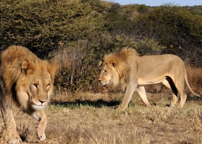 ڸɴɳŮҹ԰11ʨ ⶾɱ