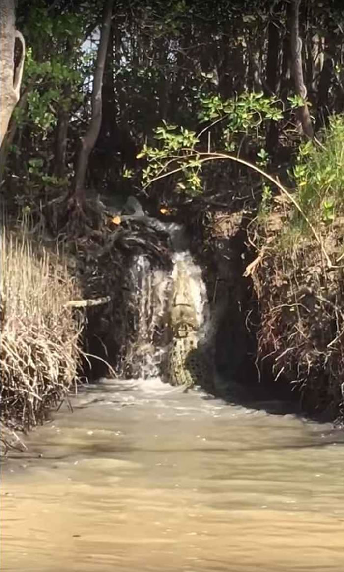 ���ޱ���ؿ�ɪ���������С�ٲ������ߡ����������