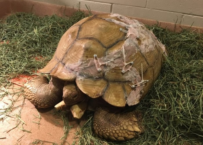 ���������տ�����꣨���޶ܱ۹꣩�ߴ����±����