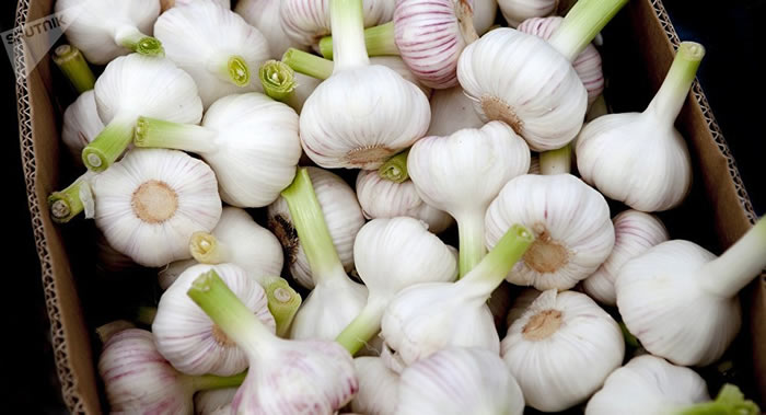 ��ҩ��ѧ���ơ����Դ����ܽ��ͻ�ĳЩ��֢����Ѫ�ܲ������򲡵ķ���