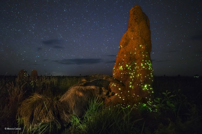 2017׶ȻʷҰӰ׽ҹϮߡ ʳǡ͵ת