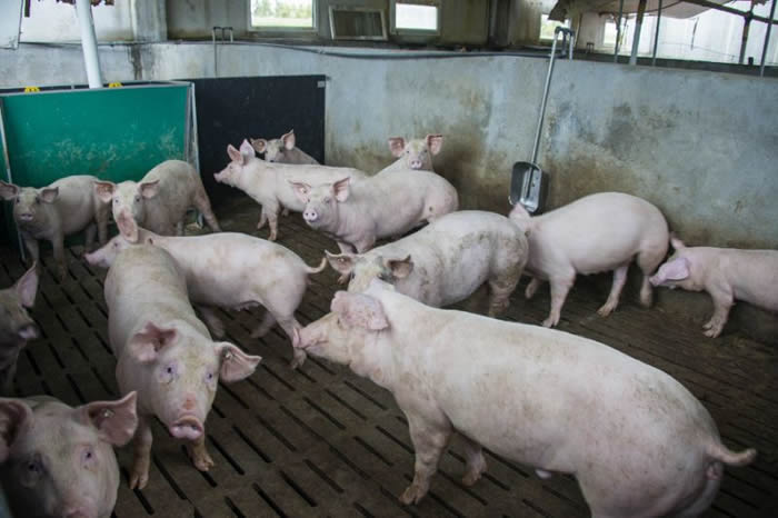 ����Ү³��ѧ��ѧ�ҳɹ���ȡ���������Դ��36Сʱ ��������������