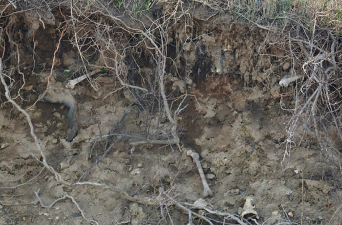 ����ŦԼ���ʿ�˹���⺣���ص���100��������������� ����������¶