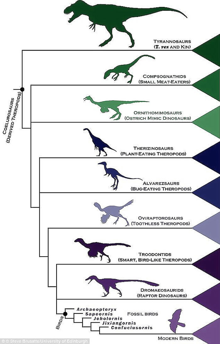 ϵڽ1ǰסڱ޵Ichthyornis dispar