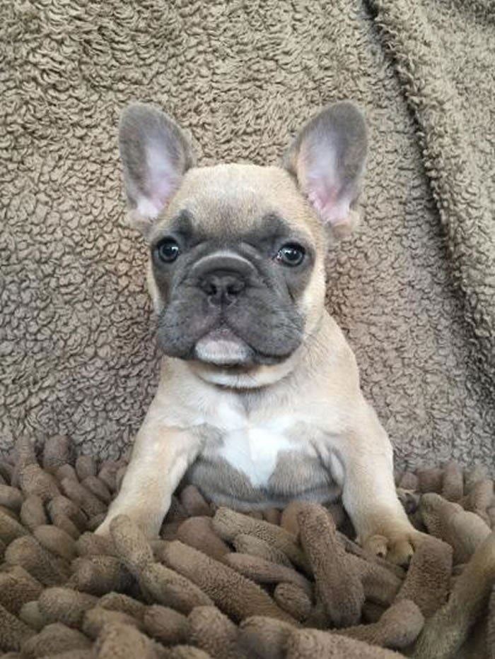 ��Ȯ���Ŵ�ѧ�����в�ѧ����������ţȮ����һϵ�н�������