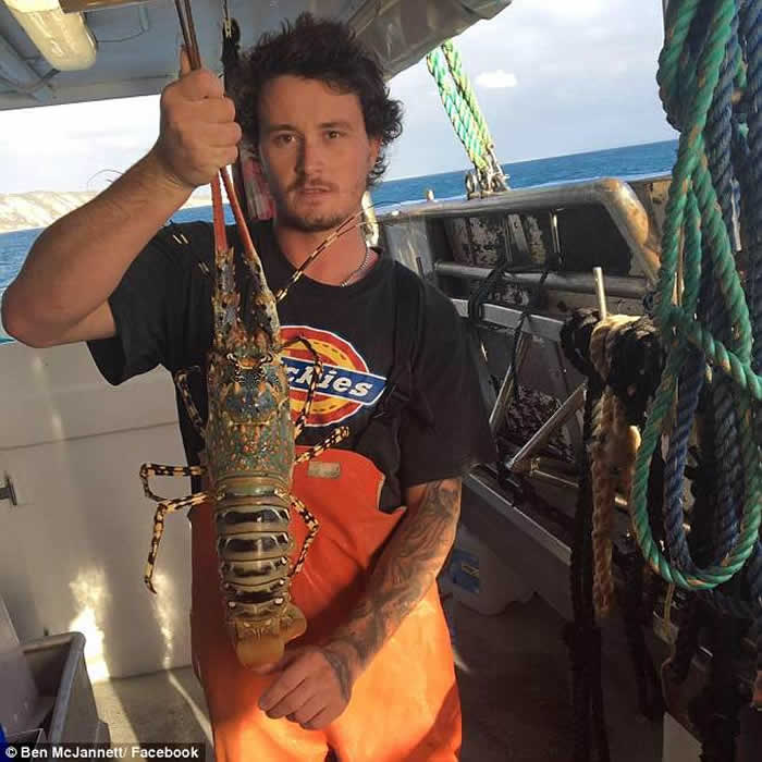 澳洲渔夫出海突然发现船下聚集了30只鲨鱼