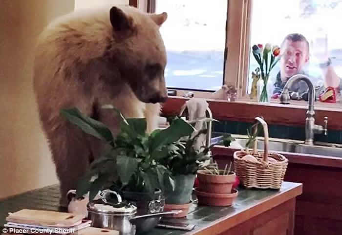 �����ƺ���ȫδ�����ᴰ��Ķ���ר�ҡ�