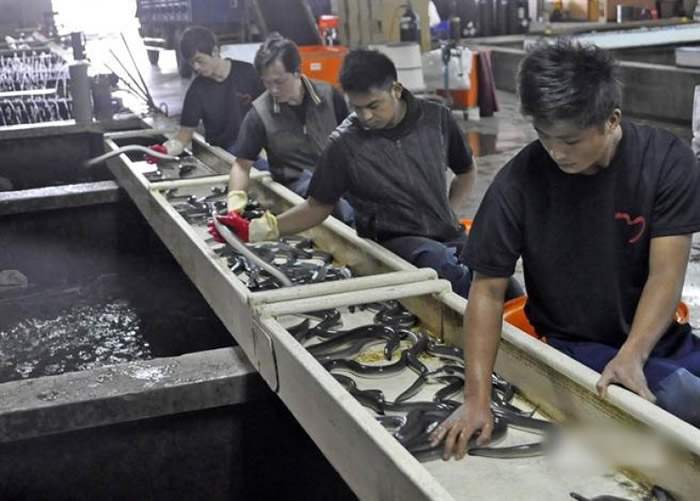 ���ձ�������㼰���磬��̨����Ҫ��ҵ������ʱ���ӱ�ͼƬ��