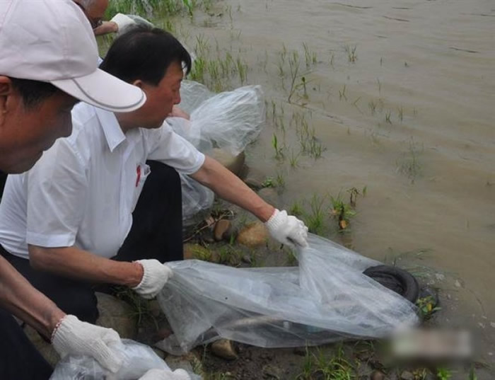 ̨����������ǰ����ĸ����ϣ��������Ȼ���硣