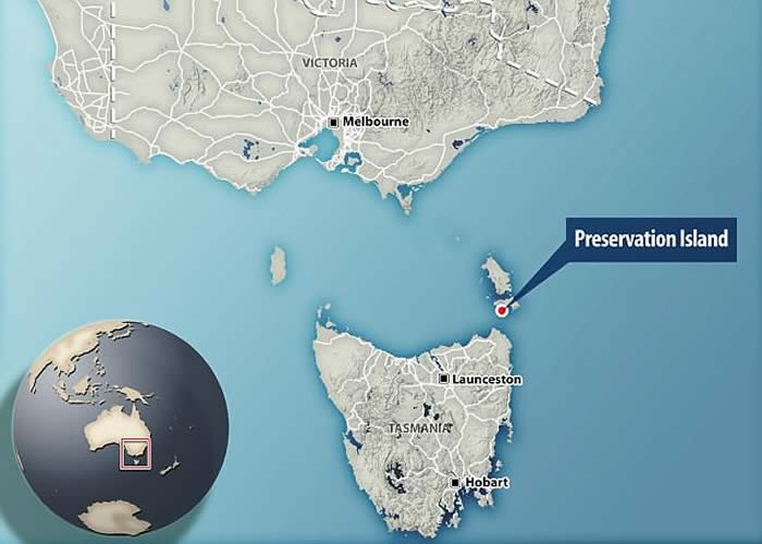 220��ǰ�洬��û ȫ�����ϡ������ơ������˼�