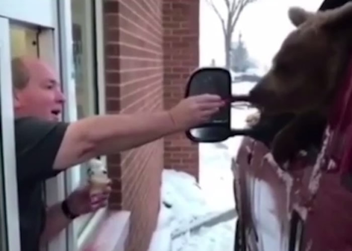 擅带棕熊外出吃雪糕 加拿大私营动物园挨告