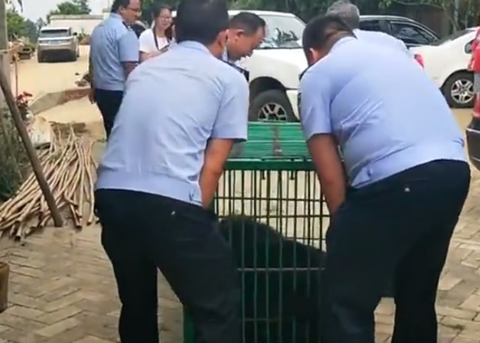 �������˽����ܴ��ߡ�