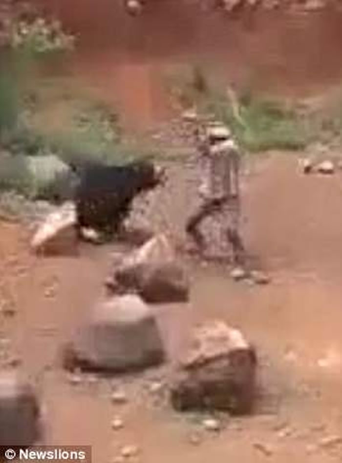 ӡ�Ȱ���������ܹ������������� ���������