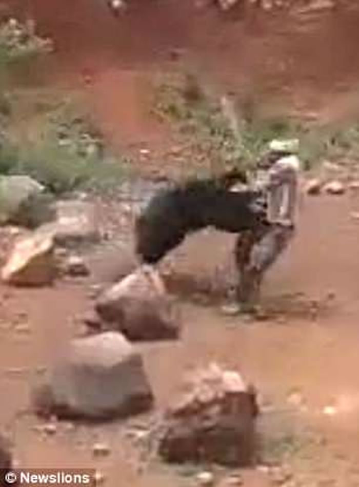 ӡ�Ȱ���������ܹ������������� ���������