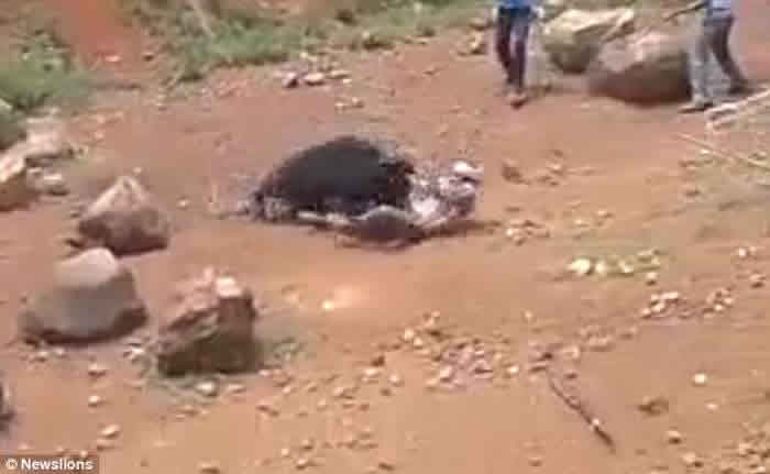 ӡ�Ȱ���������ܹ������������� ���������