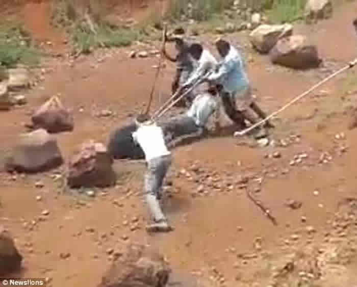 ӡ�Ȱ���������ܹ������������� ���������