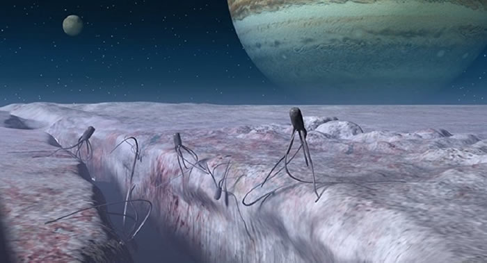 ����ѧ����ľ�����ǡ�ŷ�ް͡��Ϸ����µļ�Ъ��Ȫ�����