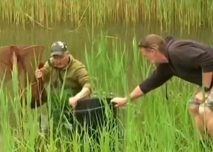 当局终决定开放一户渔业作坊捞捕,结果短短一周被捞起2000多只。