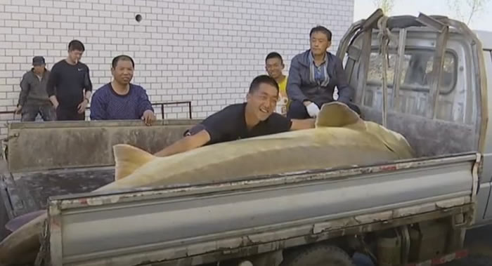 �й���Զ�������ں���������3.59�ס���512����İ�������