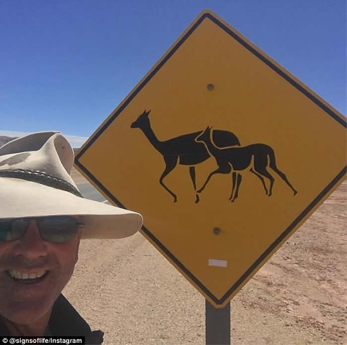 探险家穿越澳洲沙漠被千上万只苍蝇将他与骆驼团团包围