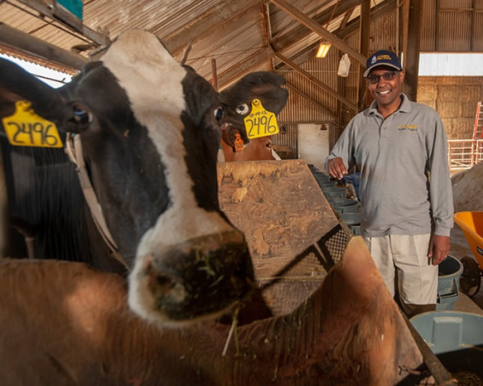 �˲��ײ��쵼�Ǵ��о���