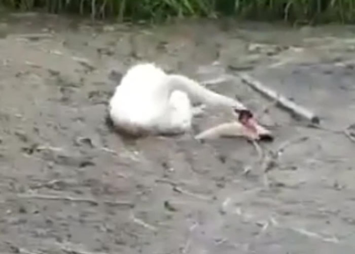 һֻÿסŢͬ龱뽫Է