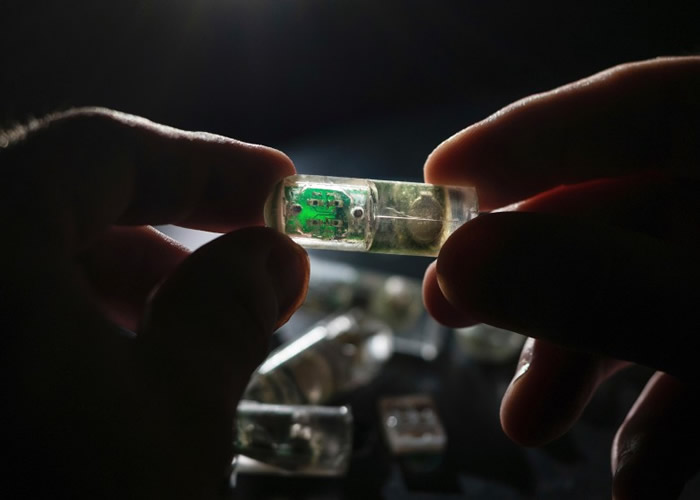 科学家研究出可吞服的传感器胶囊,有助及早发现肠道疾病。